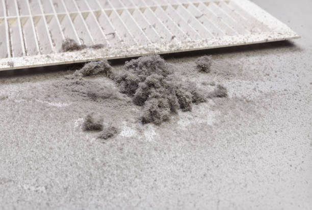 Best Local Air Duct Cleaning Services  in Clton, IN