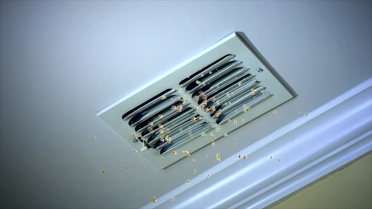 Best Affordable Air Duct Cleaning  in Clton, IN