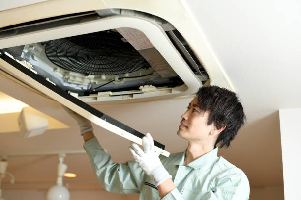 Best Home Air Vent Cleaning  in Clton, IN