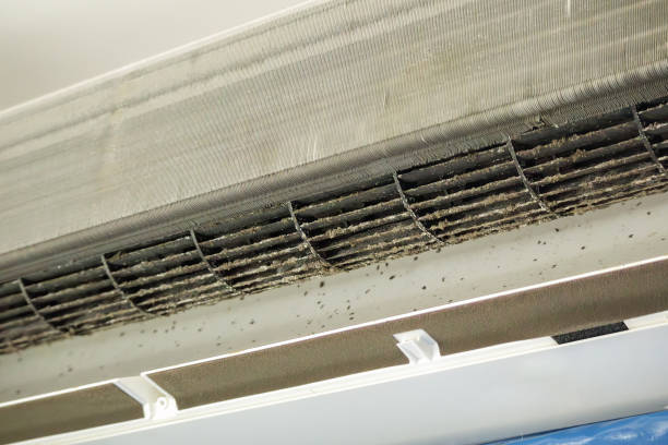 Best Air Duct Cleaning Near Me  in Clton, IN